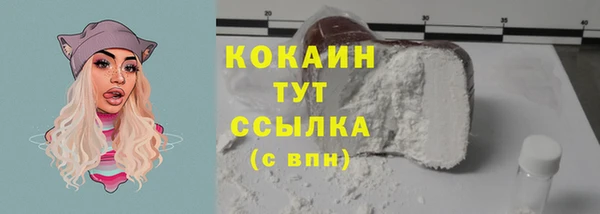 прущие грибы Володарск
