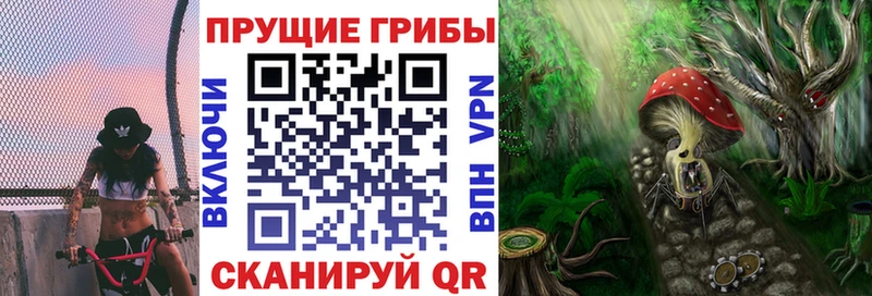 Галлюциногенные грибы мухоморы  Каневская 